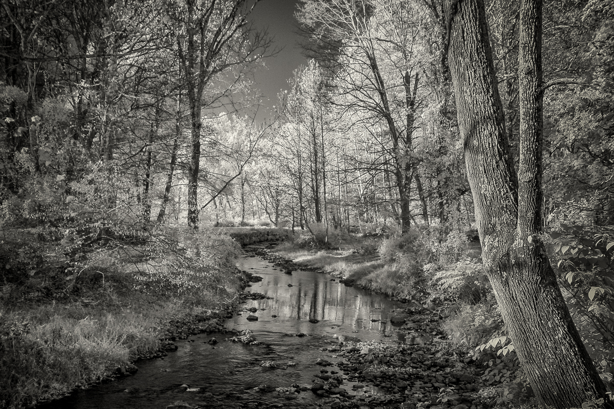 Bill Olson - Quiet Stream